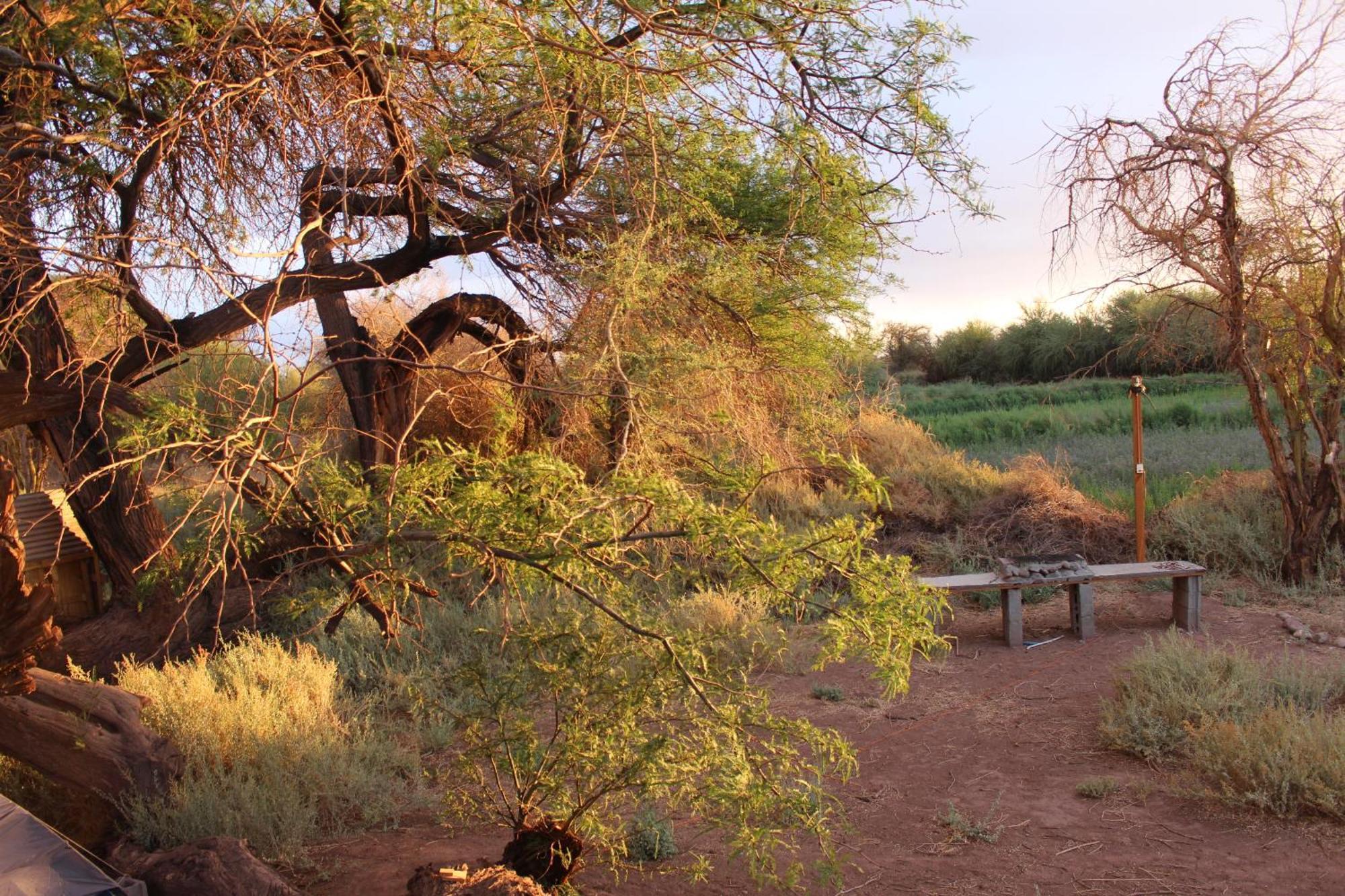 Cabana Nachitor San Pedro de Atacama Ngoại thất bức ảnh