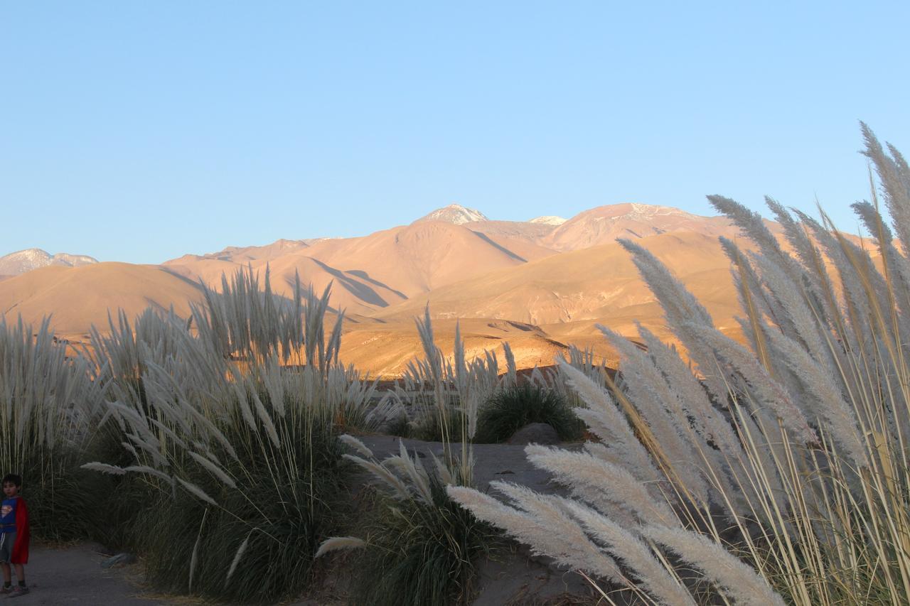 Cabana Nachitor San Pedro de Atacama Ngoại thất bức ảnh