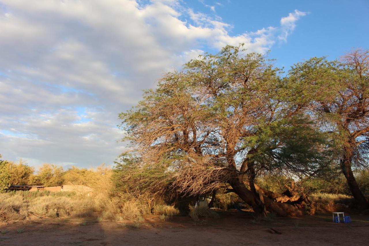 Cabana Nachitor San Pedro de Atacama Ngoại thất bức ảnh