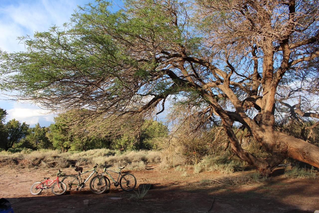 Cabana Nachitor San Pedro de Atacama Ngoại thất bức ảnh