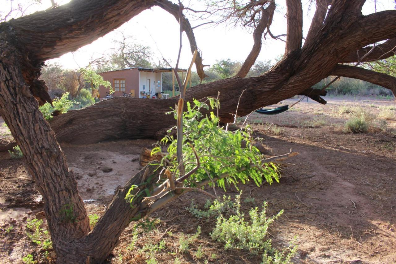 Cabana Nachitor San Pedro de Atacama Ngoại thất bức ảnh